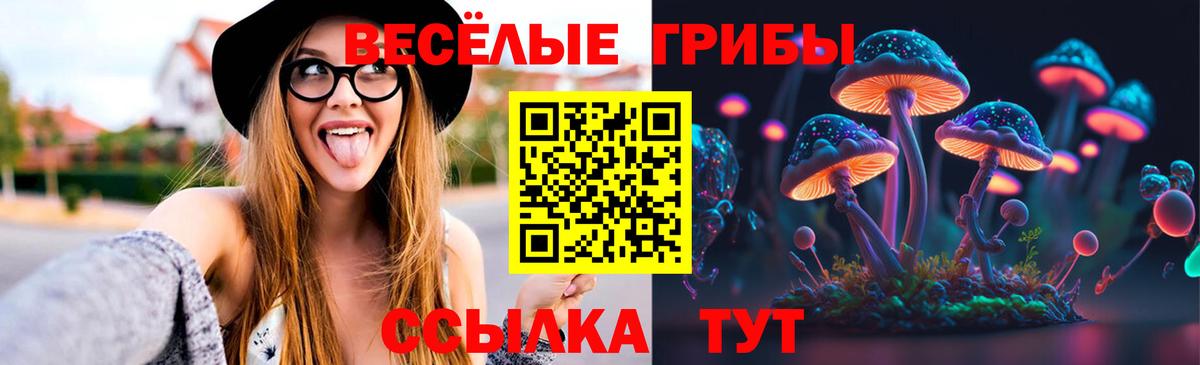 Псилоцибиновые грибы Чебаркуль